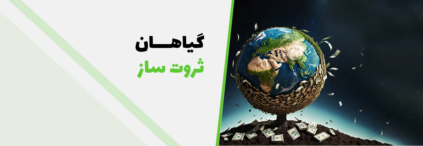 گیاهان ثروت ساز کدامند؟آیا تاثیری در افزایش ثروت دارند؟