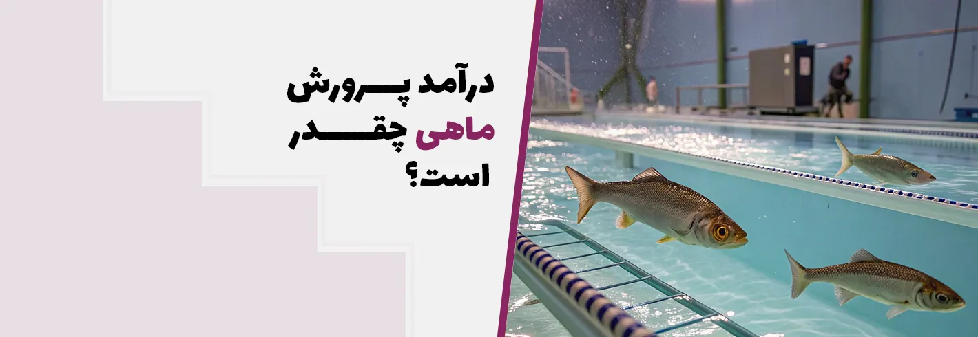 درآمد پرورش ماهی چقدر است؟ (۰ تا ۱۰۰ شغل پرورش ماهی از شروع تا افزایش درآمد)